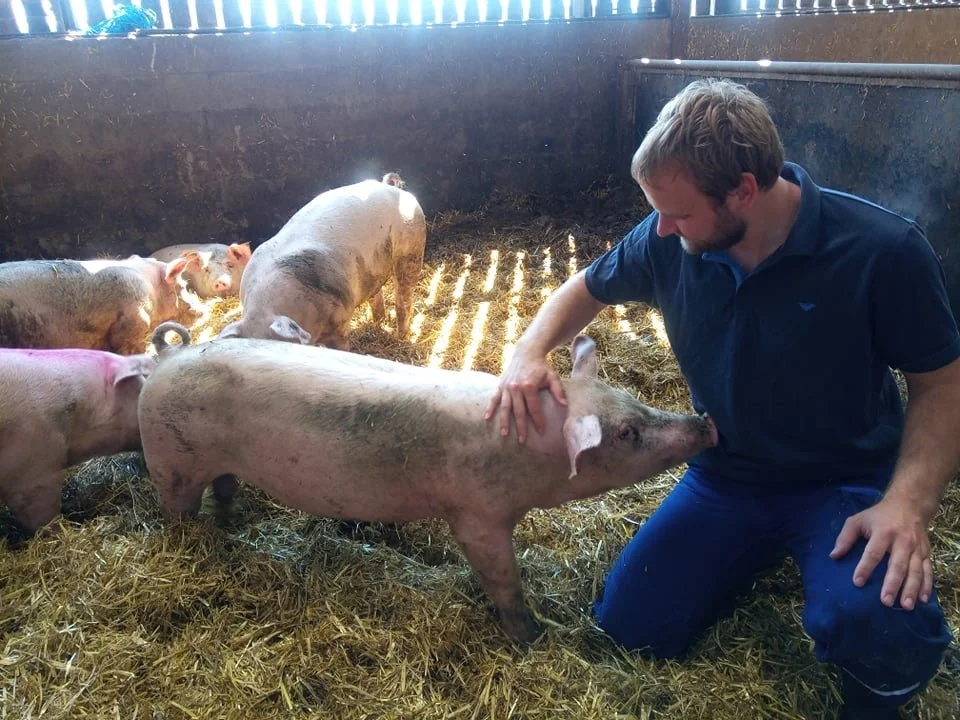 Niels Nørgaard har for nyligt overtaget halvdelen af sine forældres gård, Visgaard, der ligger i Sinding i Midtjylland. Familien har brugt de sidste to år på at forberede det delvise generationsskifte og har oplevet en del udfordringer i forbindelse med ejerskiftet. Foto: Privat