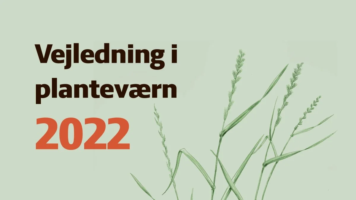 Den årlige opdaterede udgave af planteværnsbogen fra blandt andet Seges og Aarhus Universitet er netop udkommet.