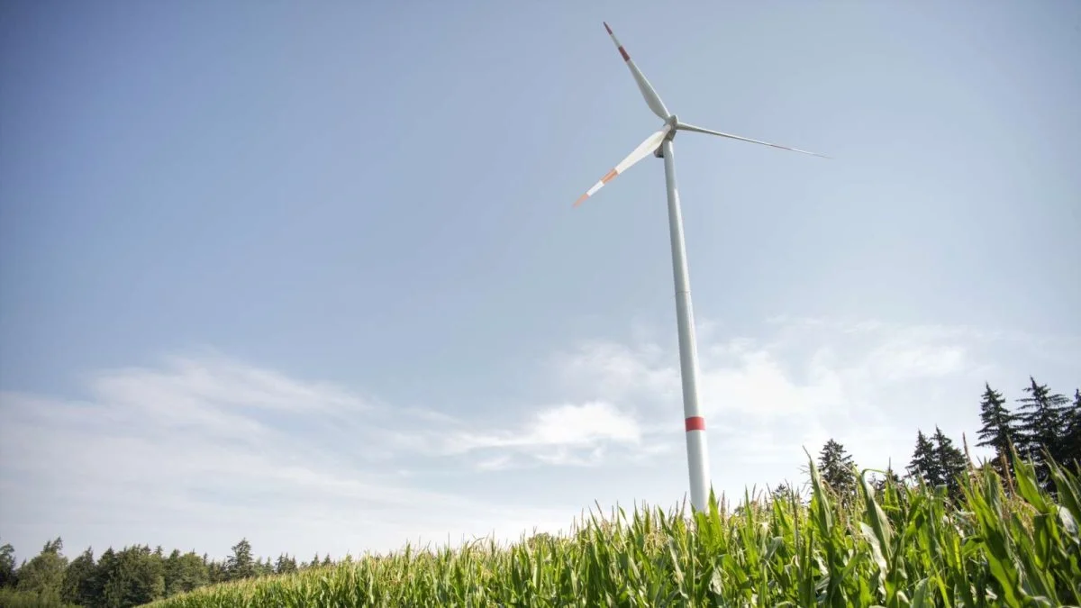 Det Miljøøkonomiske Råd og Klimarådet tidligere har foreslået danske CO2-afgifter på 1.200-1.500 kroner pr. udledt ton CO2. Regeringens ekspertgruppe ligger på det halve.