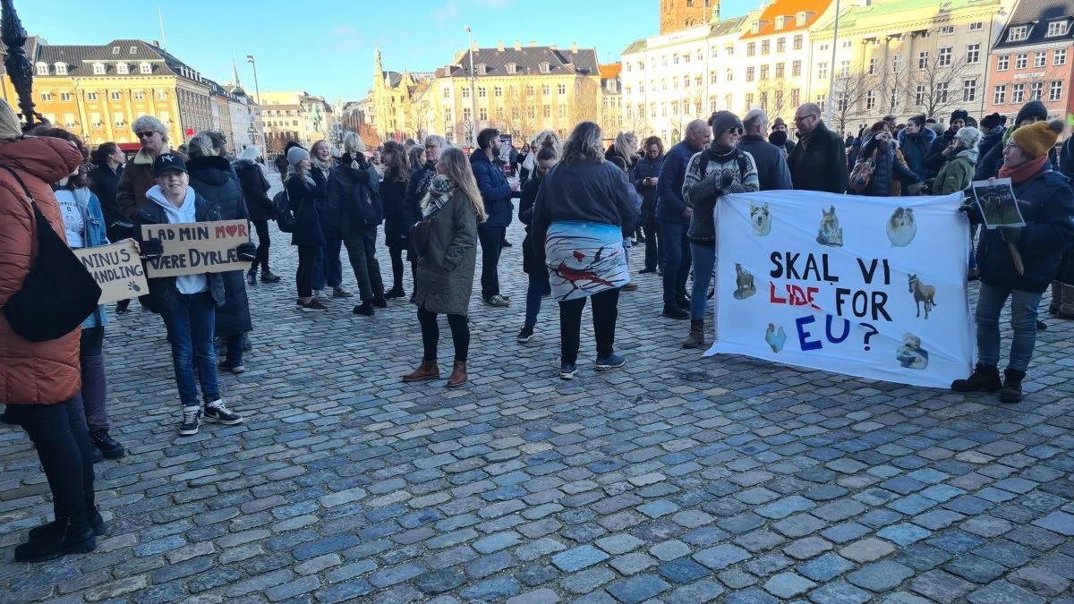 Der var flere slagord og bannere blandt de op mod 300 mennesker, der var mødt op til tirsdagens demonstration. 