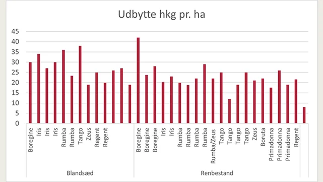 Af de monitorerede marker, Seges har undersøgt i 2021, er der dyrket lupin i blandsæd i 14 marker og i renbestand i 21 marker. I figuren ses, hvordan udbytterne fordeler sig i henholdsvis blandsæd og renbestand. Kilde: Seges