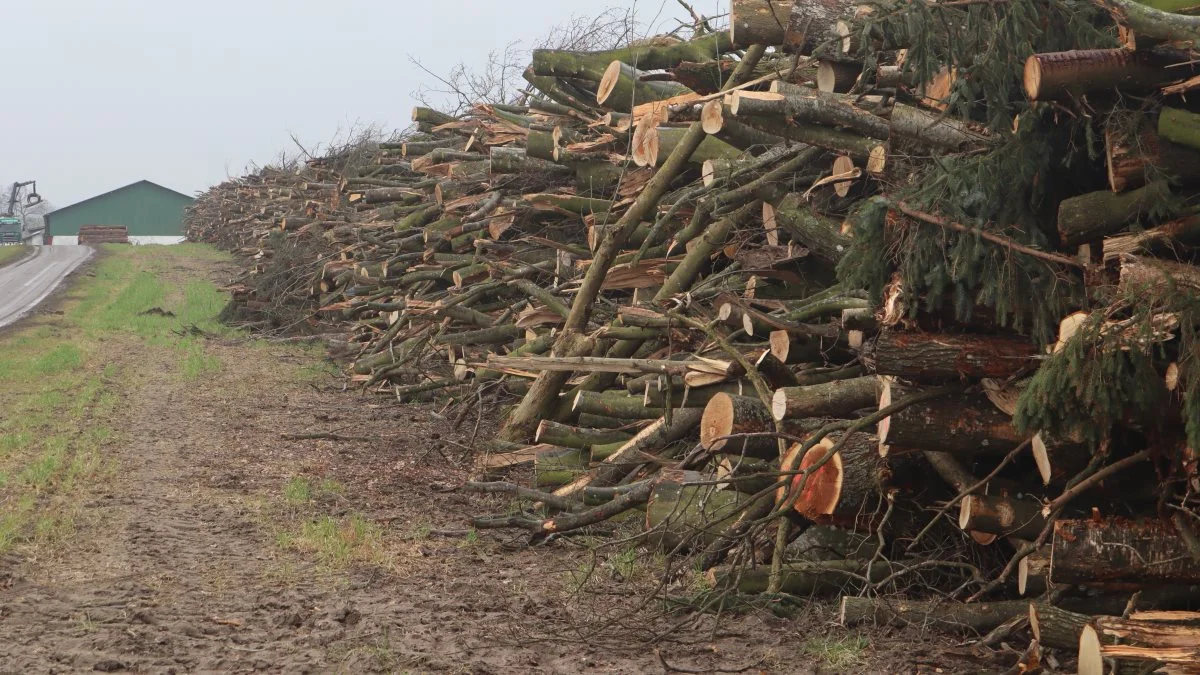 Loven omfatter også træbiomasse fra eksempelvis læhegn og remiser – altså mindre beplantninger i det åbne land.