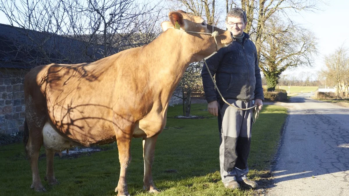 - Jeg glæder mig til Agro Nord, for jeg har virkelig savnet dyrskuerne. Jeg tror, det er ligesom dem, som plejer at være til festival, men som heller ikke kom det på grund af corona. Man savner at komme ud. Vi er sådan nogle tossede nørder, og der er altså bare noget over et dyrskue, griner Per Rasmussen.