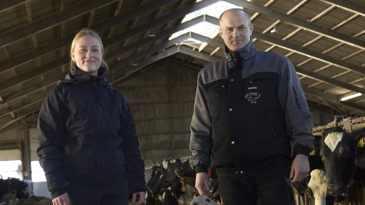 Mette Boisen arbejder på Anesminde ved Løgstør, hvor Søren Højgaard Andersen, har sagt ja til, at hun kan tage fire køer med på dyrskue.