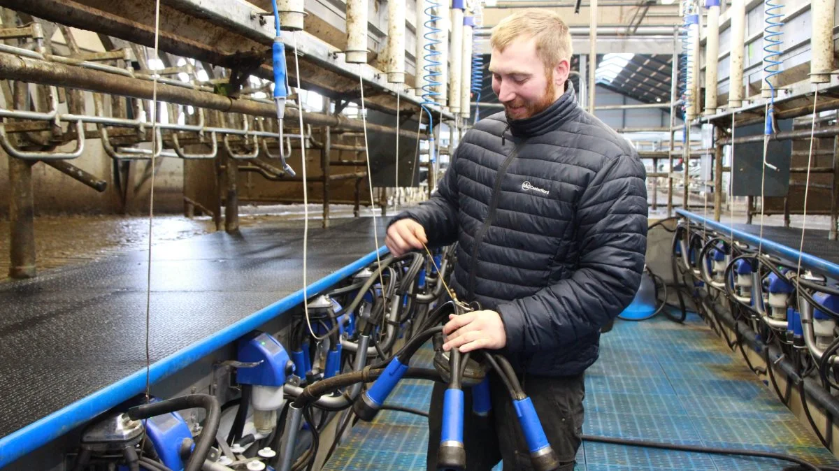 Brian Christensen valgte at skrotte de gamle robotter og indsætte en ny, toptunet malkestald. - Åbenhed giver pote, når man skal overbevise alle parter om, at man er den rigtige til at overtage, siger virksomhedsrådgiver i Velas. 