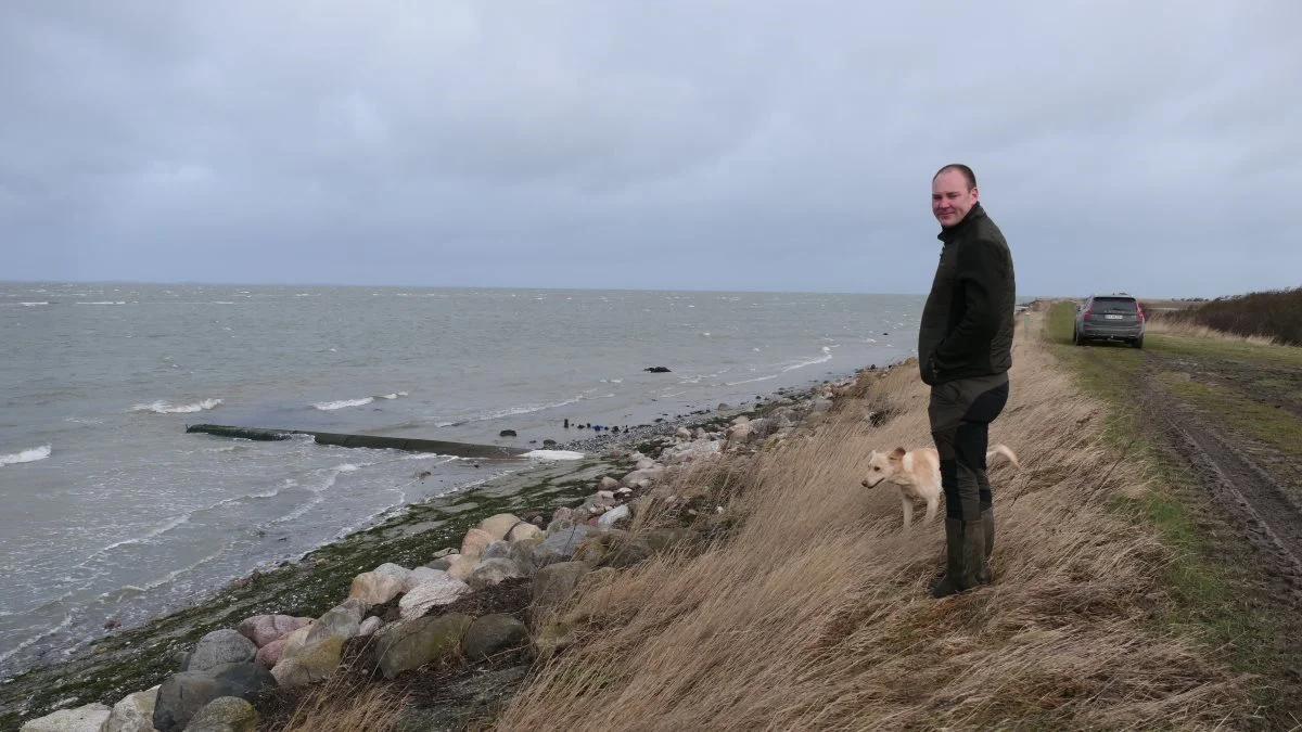 En vigtig del af landbrugsdriften hos Agrifos er vedligeholdelse af driftsfællesskabets 13 kilometer dige- og kystlinje ud mod Langelandsbæltet. Fotos: Bøje Østerlund