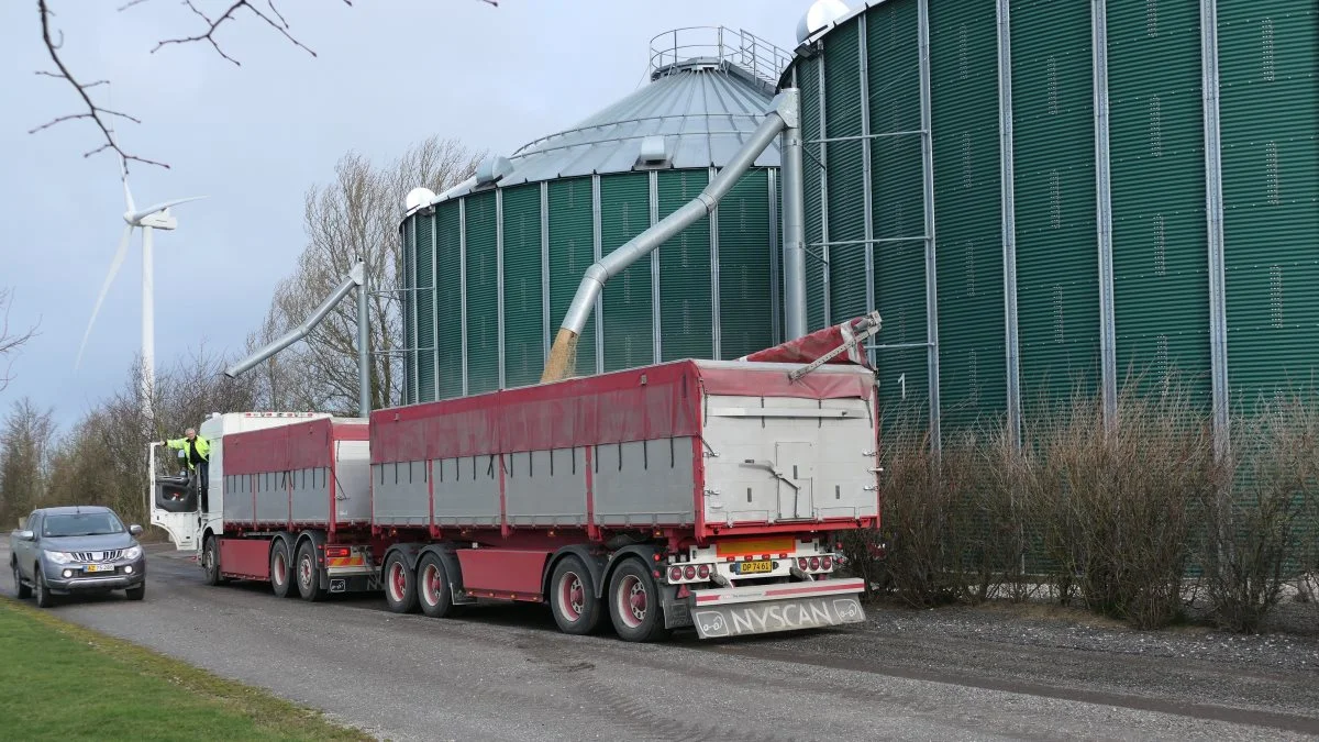 Danish Agro afhenter her korn fra Agrifos-fællesskabets kornsiloer på Nøjsomhed. I alt oplagrer og løntørrer driftsfællesskabet cirka 2.000 tons korn for andre. 