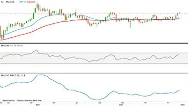 Guld, første position i dollar pr. troy ounce
Guldprisen stiger på grund af den spændte situation i Ukraine.
