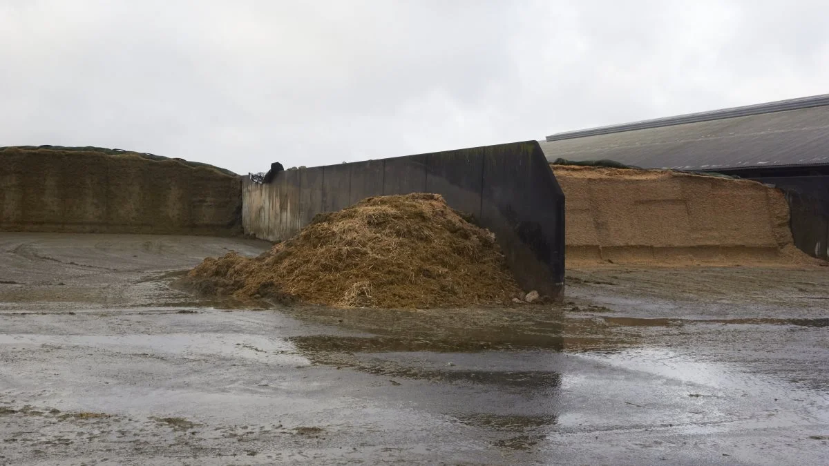 I dag vurderer Boudewijn Hans Ijdema, at der er omkring 100 kg restfoder ud af en ration på 10 tons. Før kunne der nemt være 300 kg, som blev skubbet væk og kom i en container til biogas. 