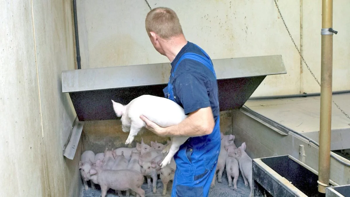 Arbejdsmiljøkonsulenter i Seges råder til, at man som arbejdsgiver og - leder nu særligt bør støtte og drage ekstra omsorg for sine ukrainske medarbejdere. Foto: Arkivfoto