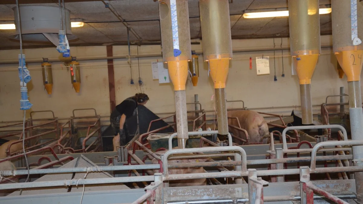 Patriotisk Selskab sætter med en ny netværksgruppe for arbejdsgivere fokus på, hvordan man skaber en attraktiv arbejdsplads, hvor medarbejderne har lyst til at blive i mange år. Arkivfoto