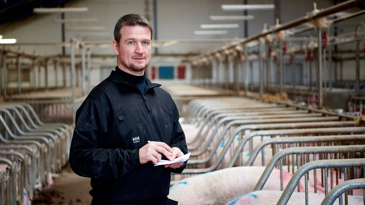 - I nogle besætninger ser vi forholdsmæssigt mange stenfostre i forskellige størrelser hos en del kuld, og så er det »den røde lampe« begynder at blinke, påpeger svinekonsulent Michael Frederiksen. Foto: SvineRådgivningen