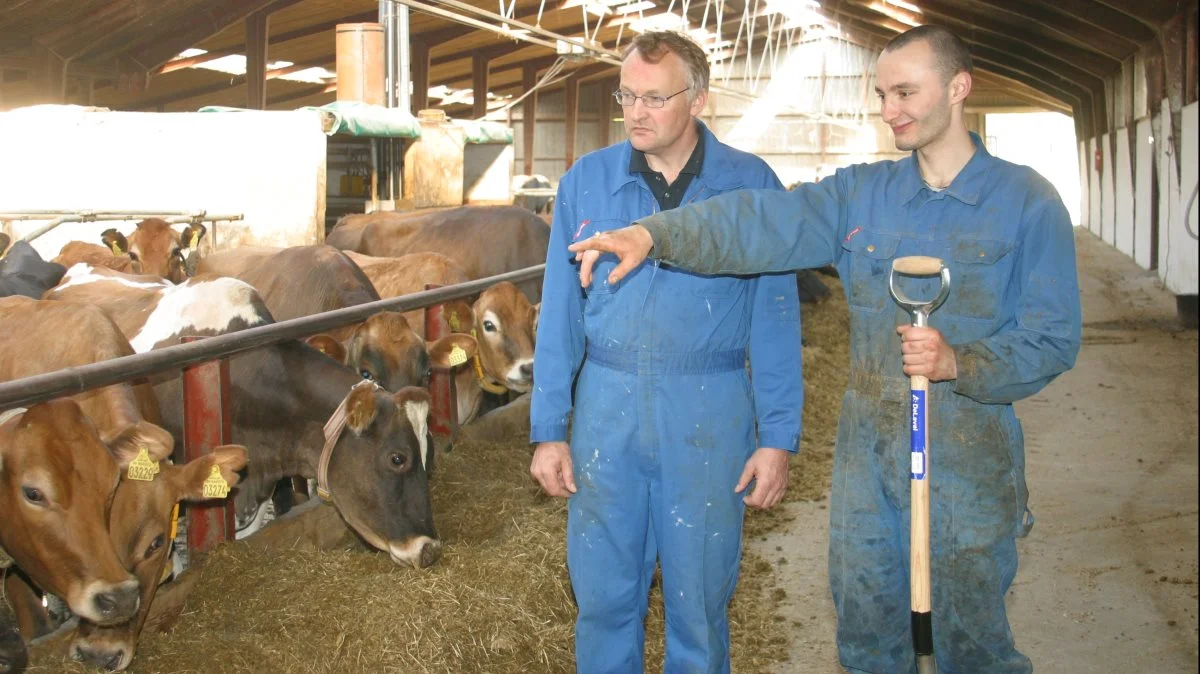 Hvis den ukrainske ansatte står med et afslag på en ny ansøgning eller en ansøgning om forlængelse af opholdstilladelsen, kan han ansøge om at få forlænget udrejsefristen. Billedet har ikke noget konkret med sagen at gøre. Arkivfoto 