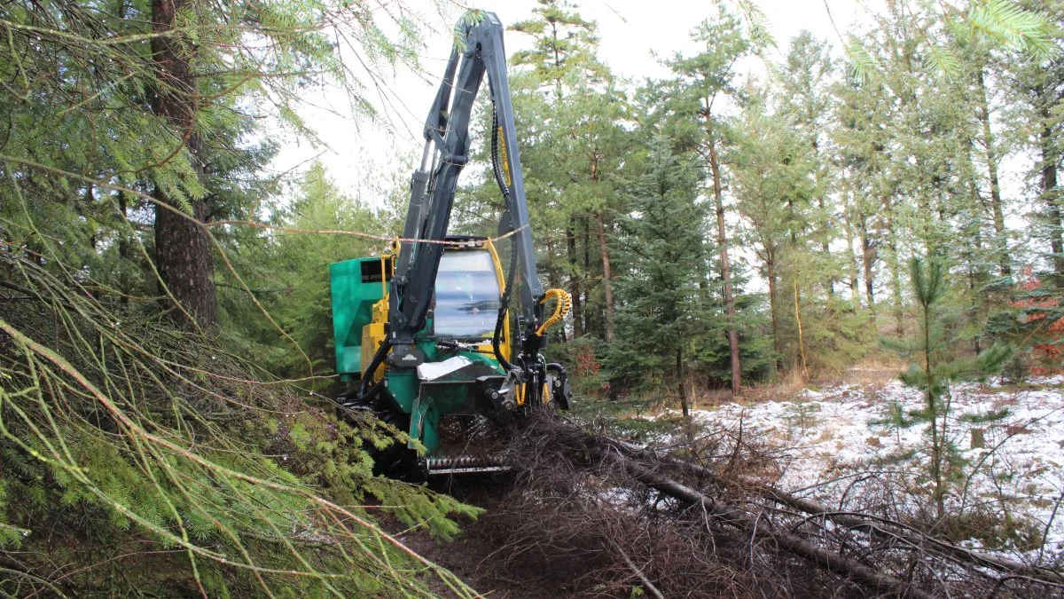 Træstammer forvandles til fin træflis af Green Chip flishuggeren hér forleden i Ansager Plantage. Foto: John Ankersen