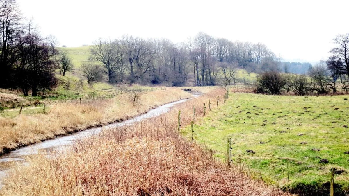 På Agri Nord-kongressen i sidste måned var der blandt andet fokus på forskellige tilskudsmuligheder, som kan fremme naturen. Arkivfoto