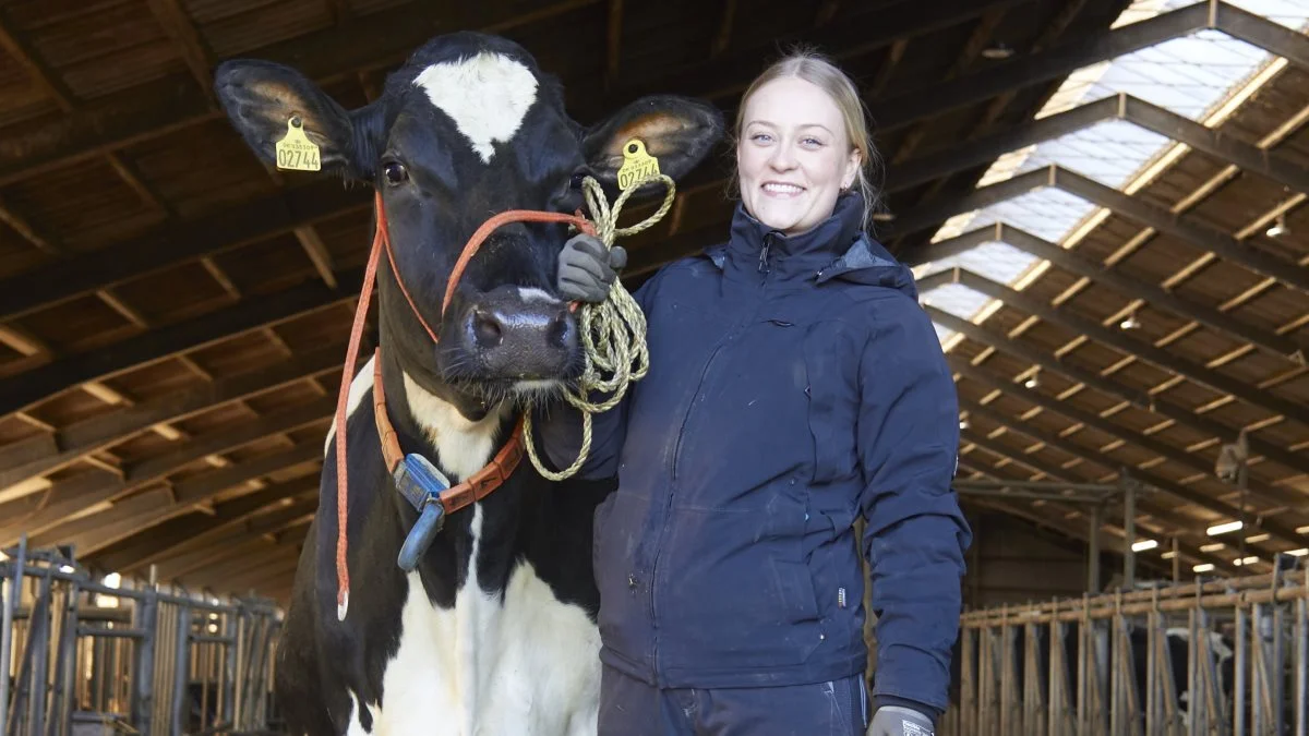 Mette Boisen var med en kammerat på Kimbrerskuet i efteråret. Det tændte en gnist i hende, og nu går debutanten i ringen på Agro Nord. Fotos: Tenna Bang