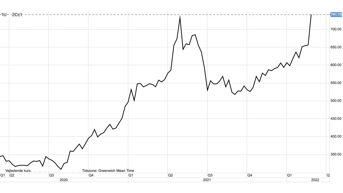 CBOT-majs i US-cent pr. bushel
Prisen for majs på den amerikanske afgrødebørs i Chicago, har netop nu brudt et afgørende niveau i opadgående retning ved 740 US-cent pr. bushel. Næste tekniske prismål ligger derfor oppe ved 1.000 US-cent pr. bushel.