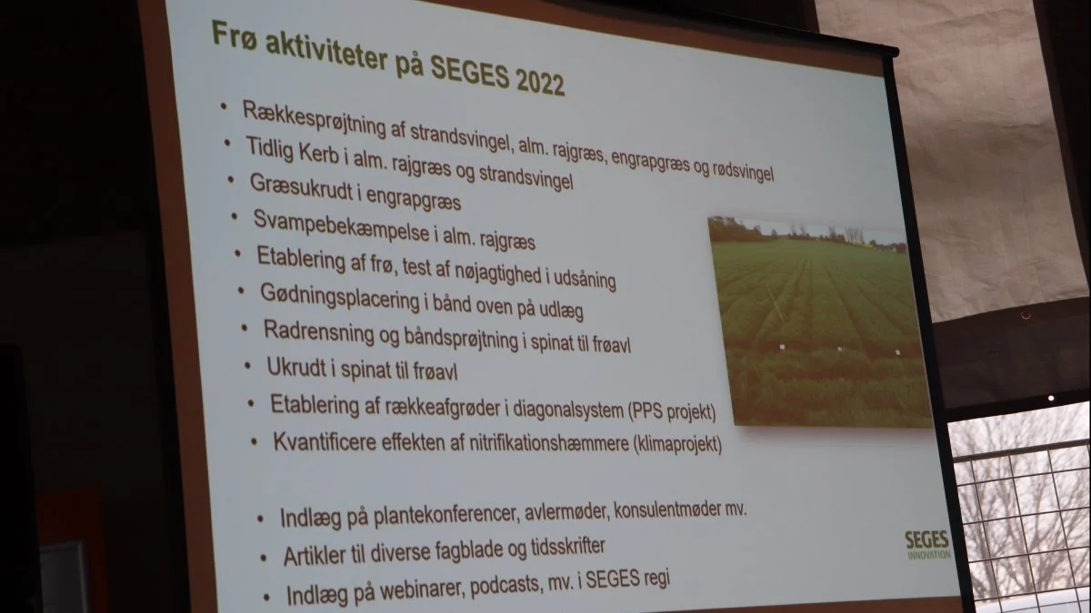 De vigtigste arbejdsopgaver for den nye landskonsulent på Seges inden for frøavl er også de vigtige for dansk frøavl i øjeblikket. Foto: Jørgen P. Jensen