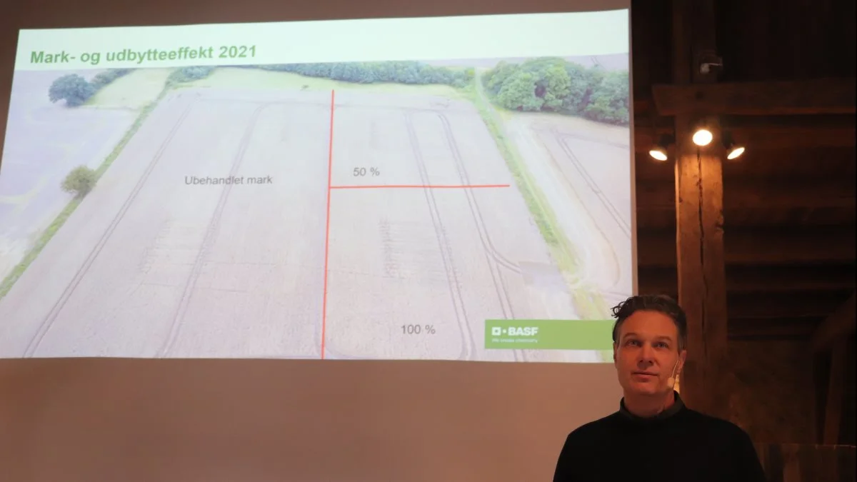 Jakob Skodborg Jensen, BASF, stillede spørgsmål ved, om man kan stole på de etablerede svampeforsøg. - Jeg tror ikke, at forsøg, der placeres midt i en mark, hvor landmanden sprøjter på sædvanlig vis rundt om, viser virkeligheden - altså giver et falskt lavere smittetryk, siger han og viser, at man skal over i en stor ubehandlet mark (tv.) for at få et reelt smittetryk.