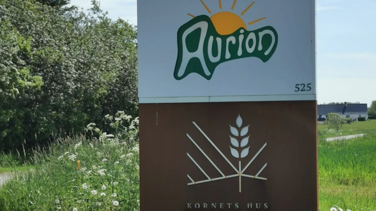 I år vil der både være rundvisning ved Aurion og i Kornets Hus.