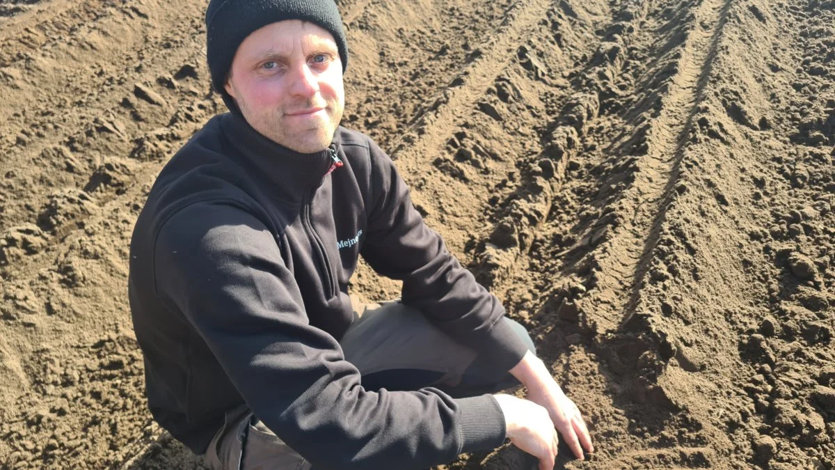 Forårets komme signalerer også starten på markarbejdet mange steder. Et af dem, der er kommet i gang, er Kasper Mejnertsen, Mejnerts Mølle, der har fået lagt de første økologiske kartofler i jorden. 