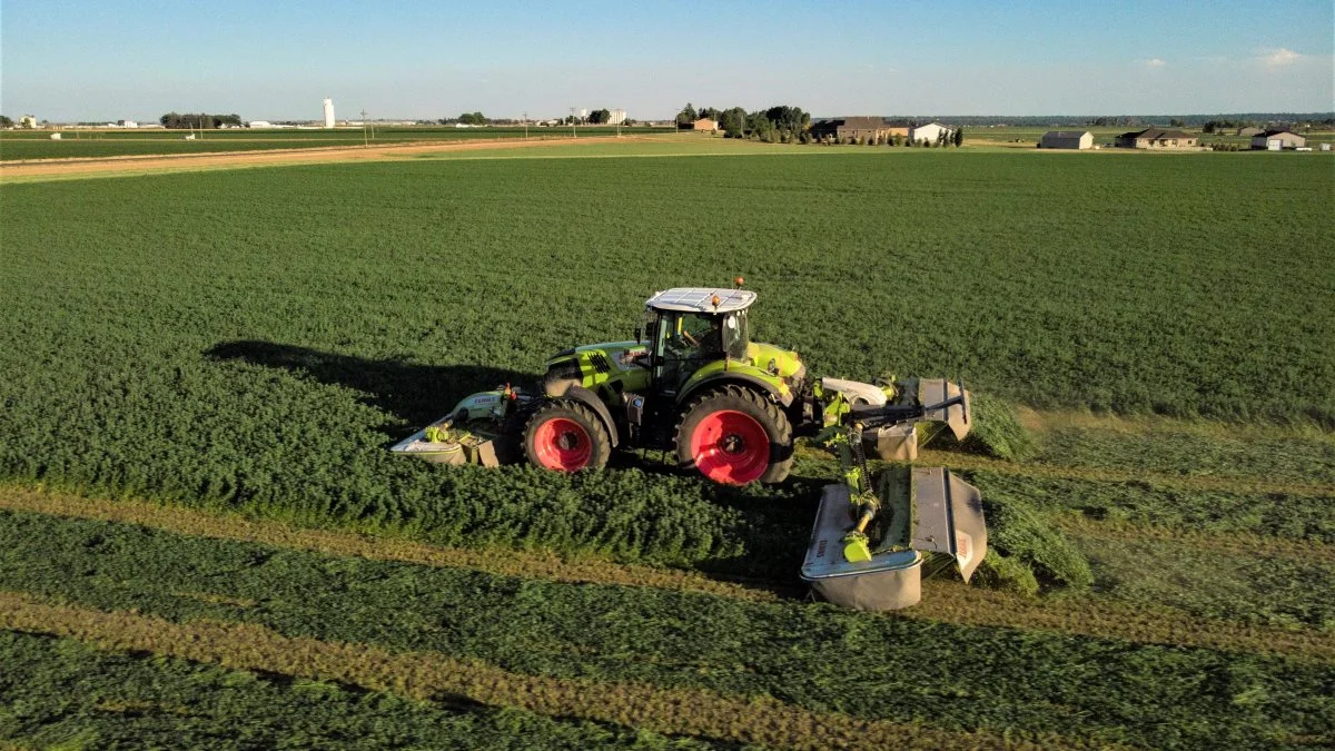 Et Claas Disco 1100 RC-skårlæggersæt har netop sat verdensrekord med 141,1 hektar skårlagt lucerne på otte timer.