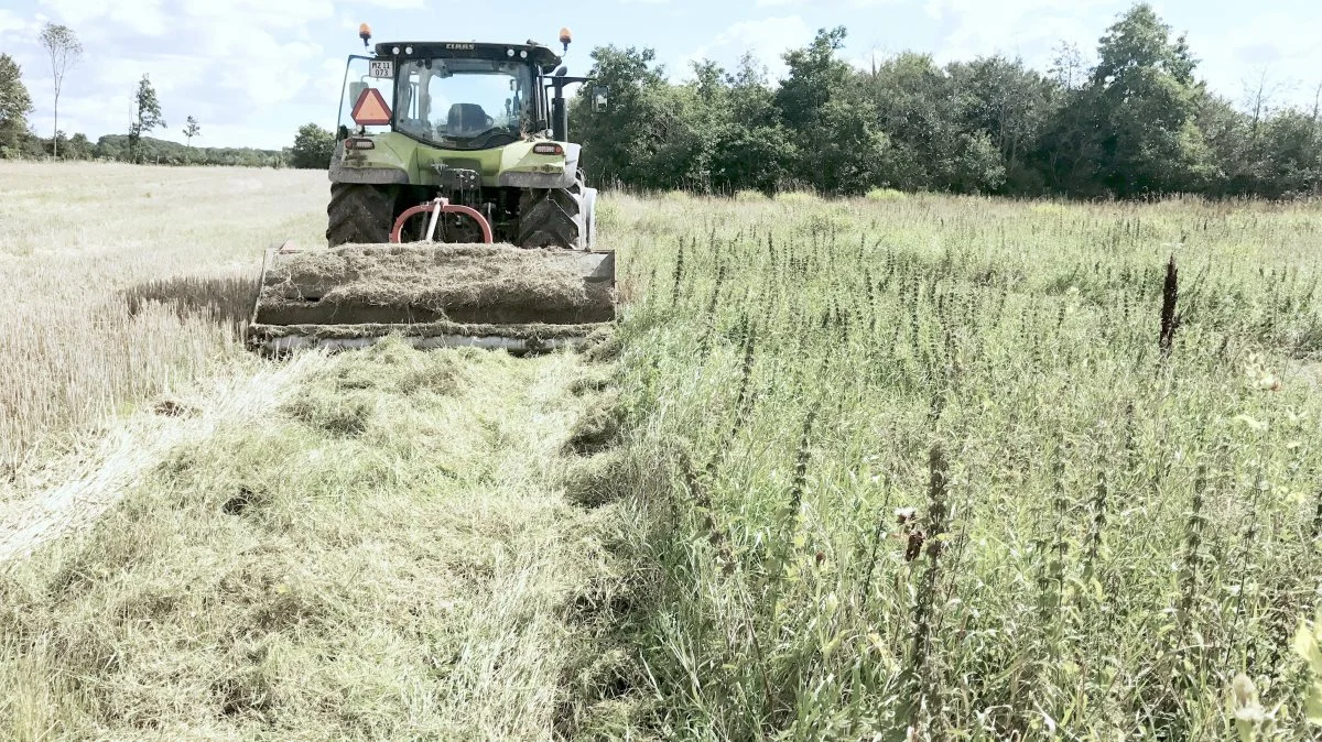 EU's brakordning forpligter unionens landmænd til at tage en procentdel af deres jorde ud af produktion til af hensyn til miljø og biodiversitet. Foto: Arkiv