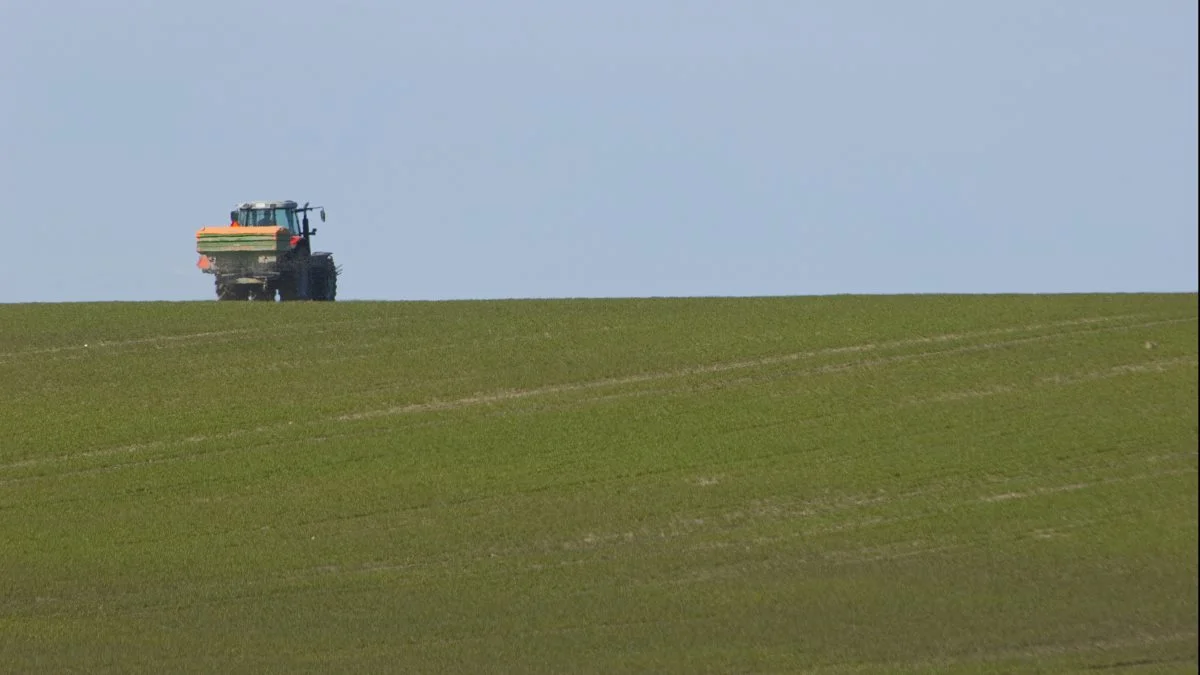 To tredjedele af klimaaftrykket fra planteproduktionen kommer fra produktion og anvendelse af gødning. Arkivfoto