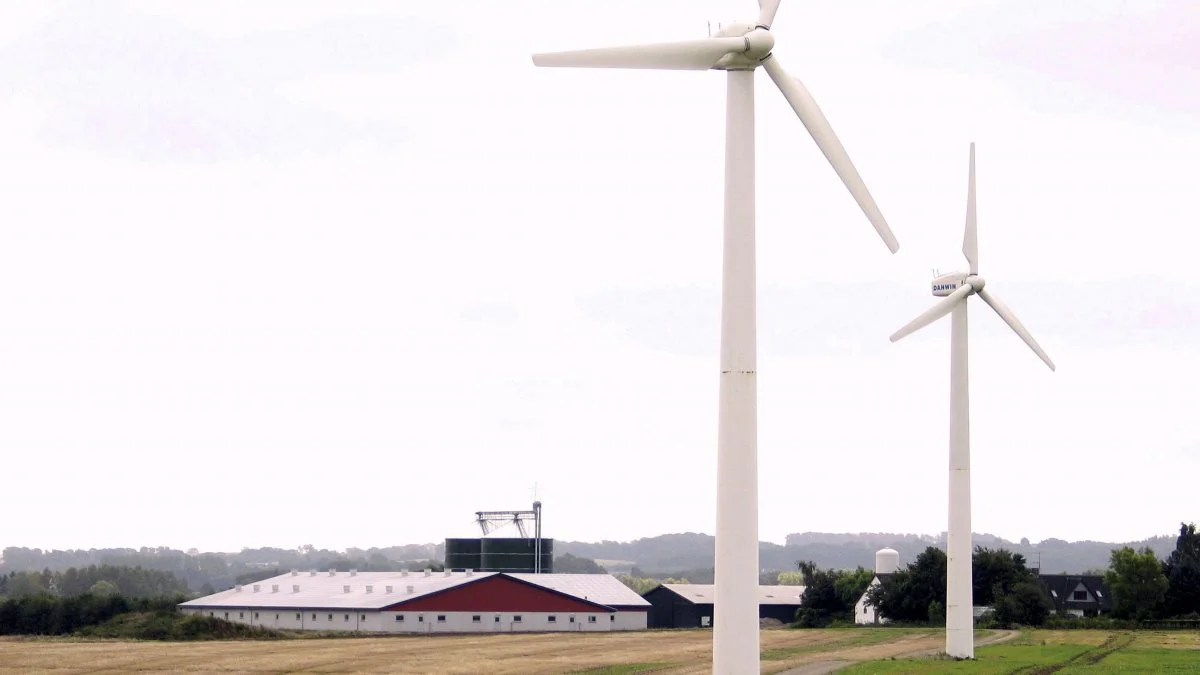 Produktionen af vindenergi herhjemme var 10 til 15 procent lavere i 2021, end hvad vi normalt forventer. Det gav højere energipriser og en usikkerhed omkring, hvorvidt der var produceret nok energi til, at alle kunne få, hvad der var behov for i løbet af vinteren. Arkivfoto