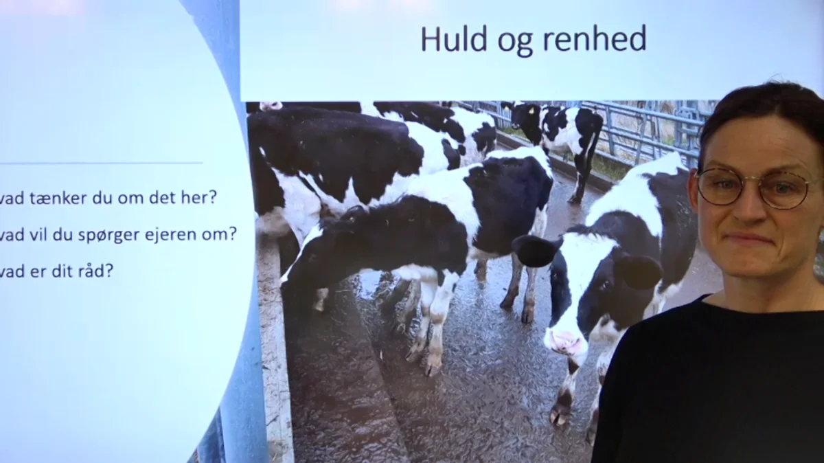 Solvejg Horst Petersen, kvæg- og strategirådgiver, ØkologirådgivningDanmark, prøvede på et webinar forleden at få en dialog i gang med tilhørerne. Også her oplevede hun, at mange syntes, at det var svært at snakke om dyrevelfærd. Foto: skærmdump