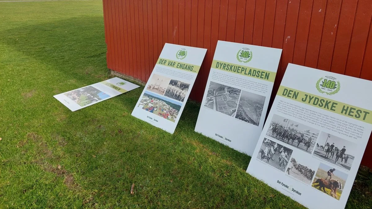For at fejre dyrskuets 140-års jubilæum er der nu hængt en række plancher op på dyrskuepladsen, som vil blive hængende ved hovedindgangen frem til sommer. Jubilæumsudstillingen kommer til at sætte fokus på dyrskuets historie og udvikling. Foto: Kommpress