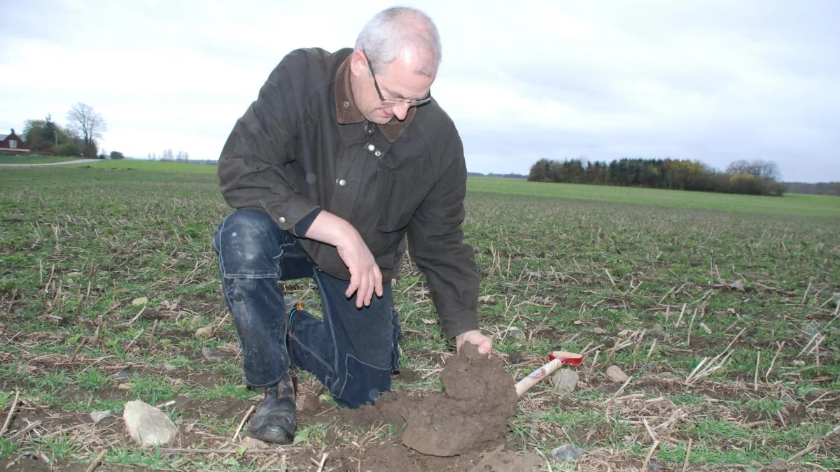 Søren Ilsøe er planteavlskonsulent hos Agrovi og har på sin egen gård eksperimenteret med pløjefri dyrkning og praktiserer nu conservation agriculture med succes. Arkivfoto