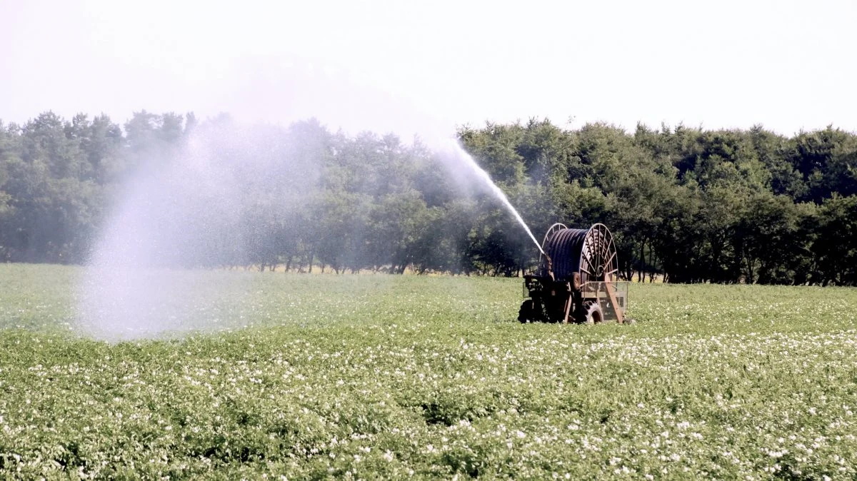 Hjørring Kommune giver nu tørkeramte landmænd en håndsrækning ved at give dem lov til at vande fodermarkerne med vand, der hentes i søer og vandløb.