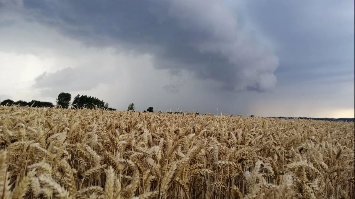 Foto: Arkivfoto