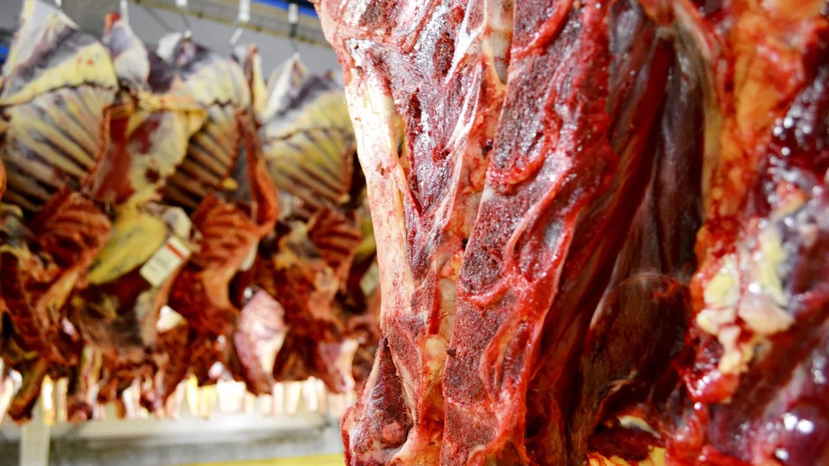 Prisniveauet på eksempelvis bøffer og stege udfordrer visse steder kunderne, skriver Danish Crown Beef i en markedsberetning.