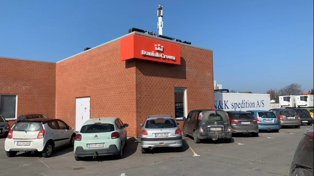 Danish Crown overvejede for nogle år siden at lukke slagteriet i Rønne, men takket være stor opbakning og sammenhold lykkedes det et sikre slagteriets eksistens på Bornholm. Foto: Jesper Hallgren