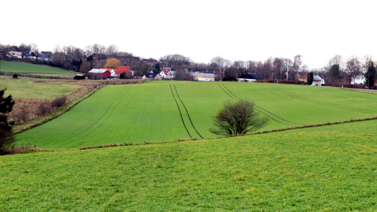 »Vi ser ikke noget fagligt grundlag for generelt at forbyde pesticider i BNBO, men når et massivt flertal i Folketinget har aftalt, at sprøjtning i BNBO skal ophøre, så er vores fokus at sikre landmændene fuld erstatning«, skriver Thor Gunnar Kofoed.