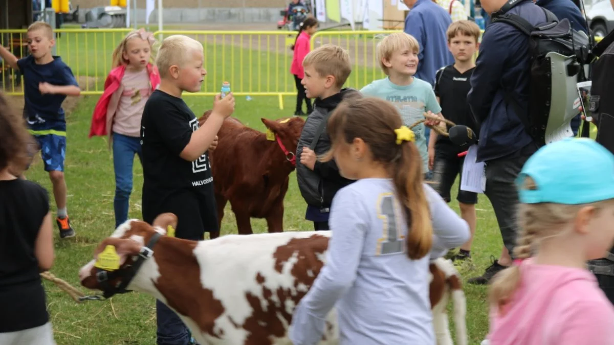 Børn og unge har mulighed for at komme helt tæt på dyrene, både før og under årets dyrskue – her stemning fra dyrskuet i 2019. Foto: LandboNord