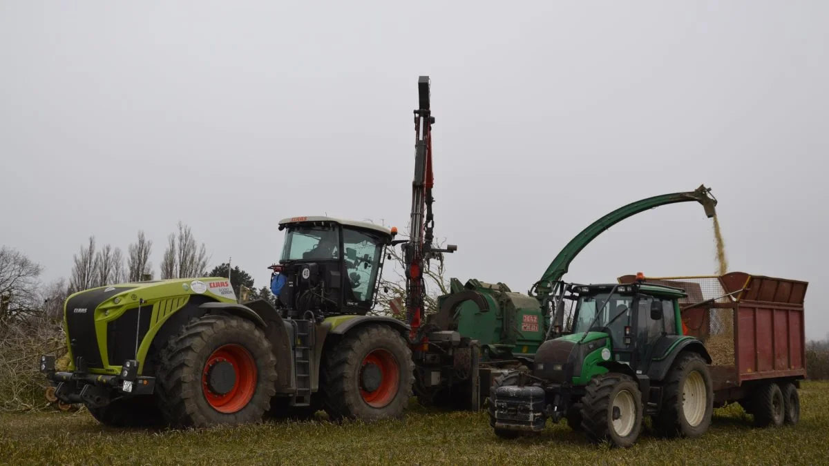 Hegnsklipning, flis og transport i en arbejdsgang.