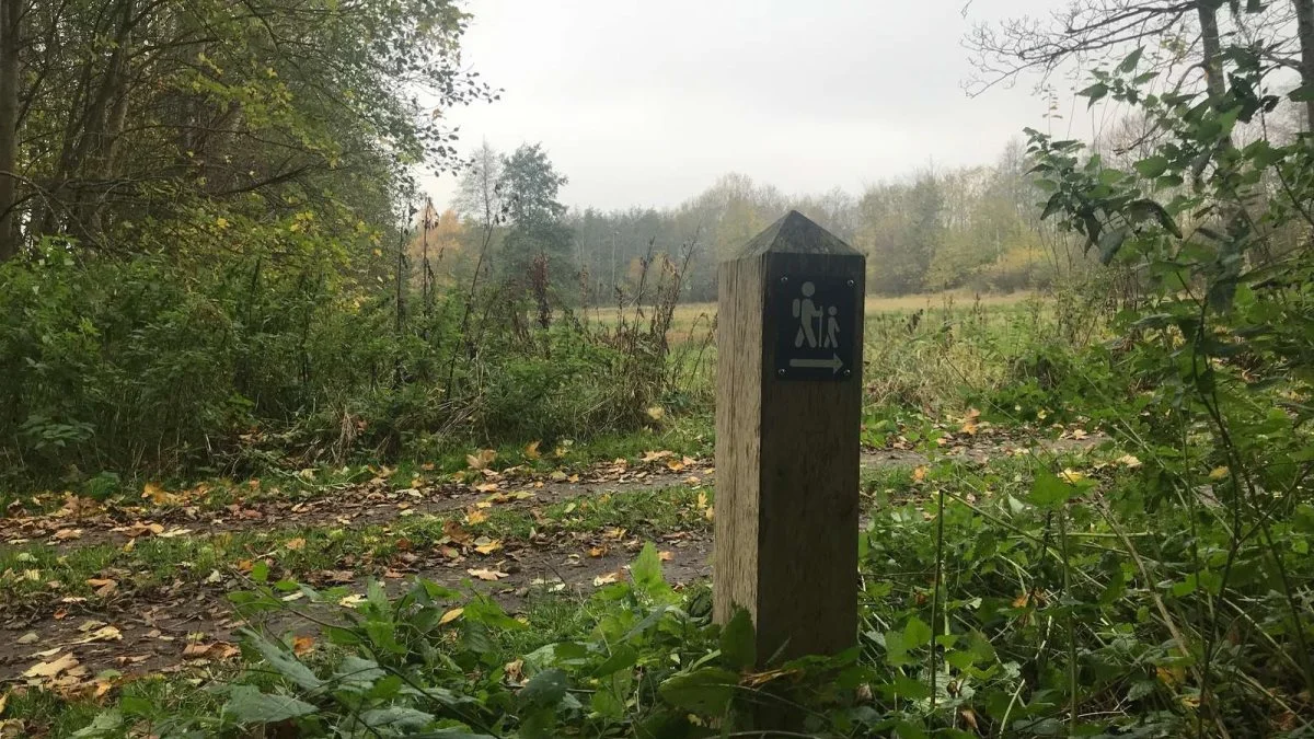 Lillebæltsstien.