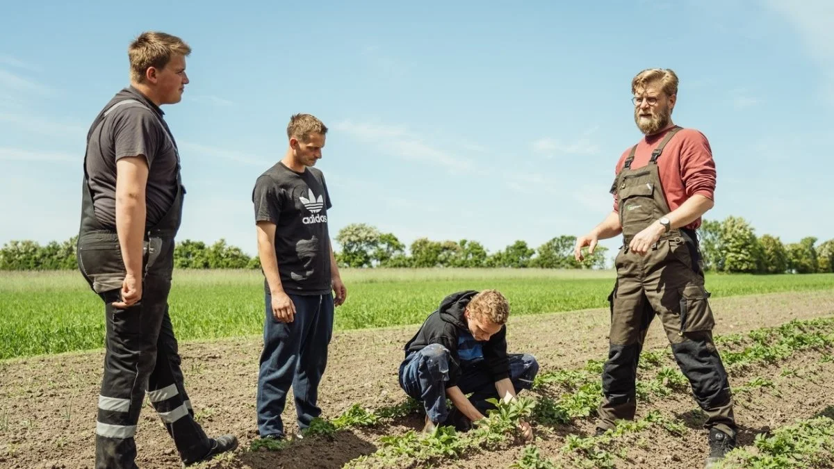 Flere har vist interesse for at starte op på en jord- og landbrugsuddannelse de sidste par år. Arkivfoto