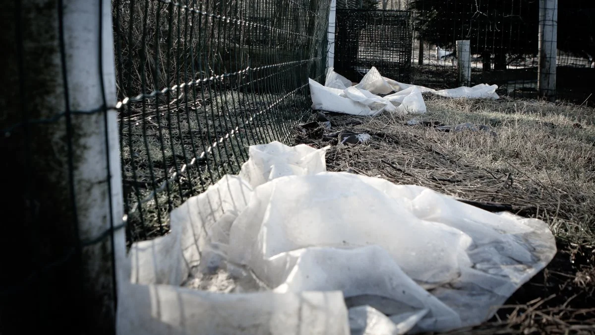 Flere steder ligger der plastik fra oprydningen.