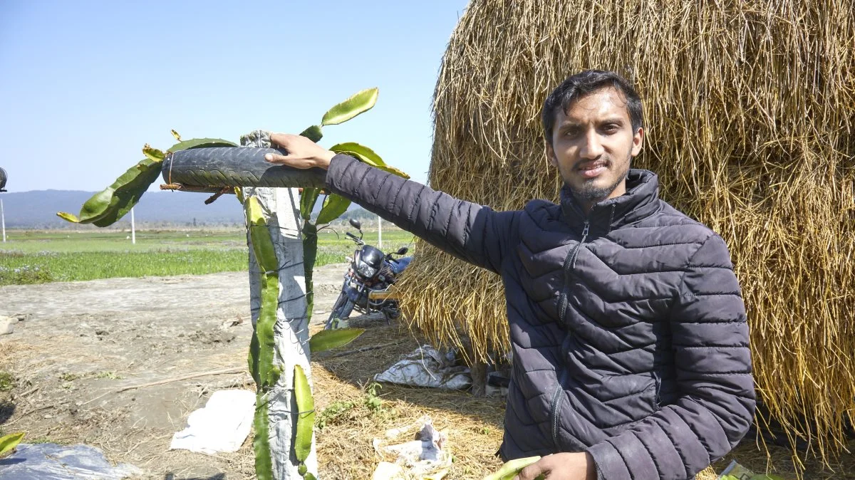 Sundip er agronom og fra Kantipur. Han står ved en kaktus, som efter cirka halvandet år giver dragefrugter. De er meget dyre, og kan derfor give en høj indtjening. Fotos: Niels Damsgaard Hansen