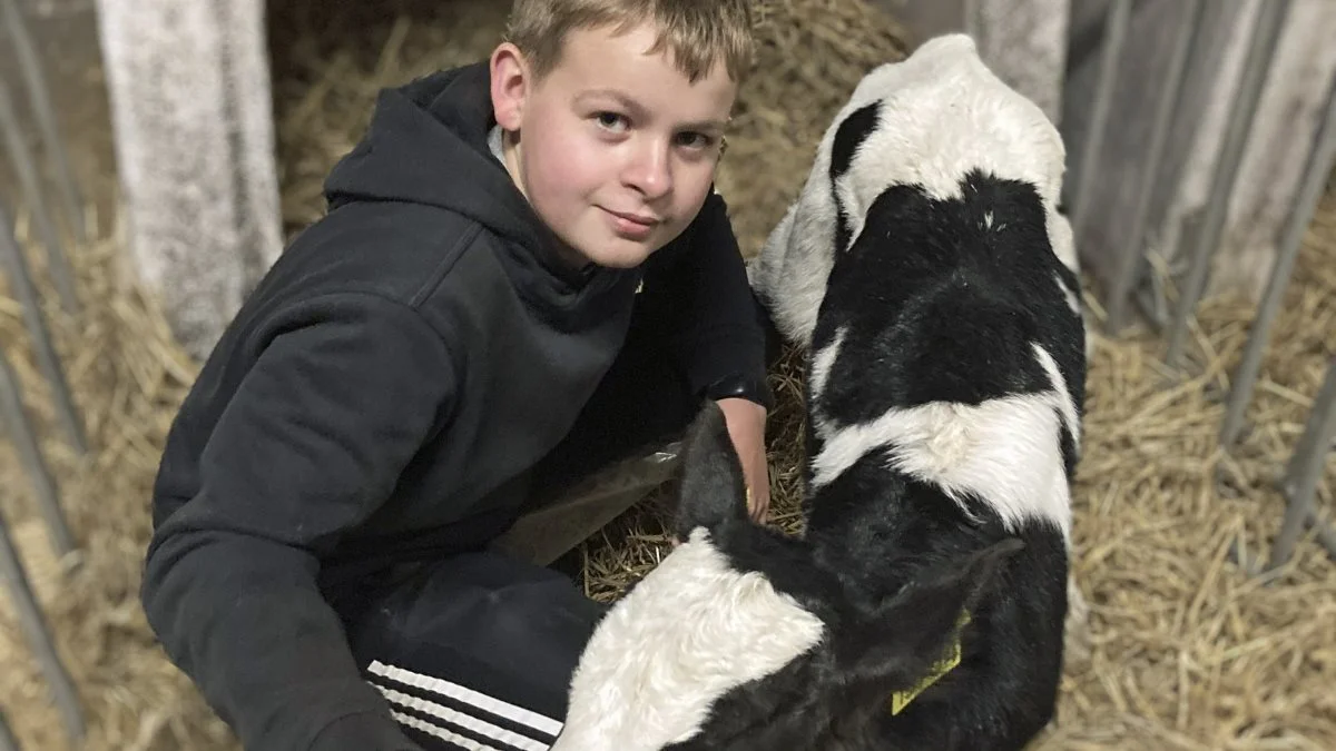 I efteråret kørte Asmildkloster Landbrugsskole et forløb, hvor en række unge kunne gå til landmand. Nu gør de det samme igen, denne gang i samarbejde med ungdomsskolen i Holstebro. Foto: Asmildkloster Landbrugsskole