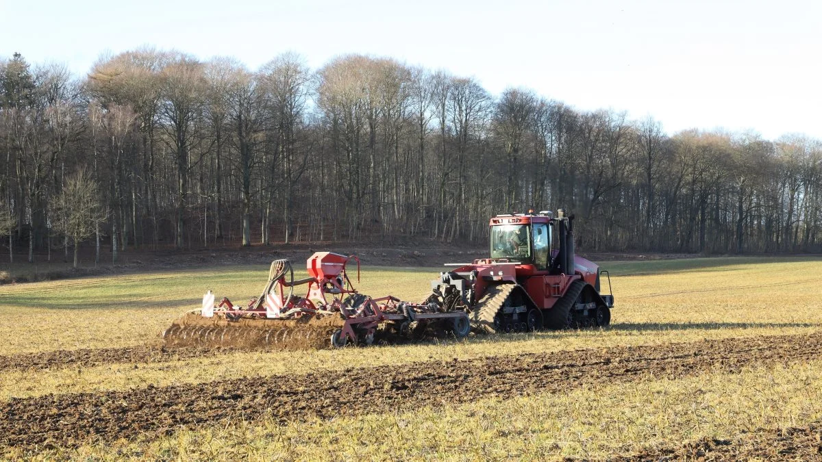 Der bliver rig mulighed for at stifte nærmere bekendtskab med de pløjefri dyrkningssystemer, når FRDK og en række landmænd - herunder Henrik Terp på Sanderumgaard - inviterer til åben pløjefri mark i samarbejde med deres lokale rådgivningscenter.