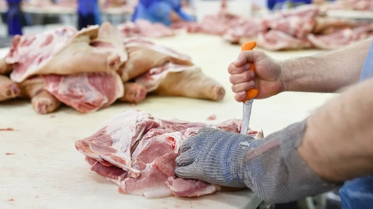 Holland står for den største mængde ansøgninger med en total på 3.855 tons, hvilket er en andel på 31 procent, imens Danmark har ansøgt om 2.320 tons, som svarer til 19 procent. Foto: Colourbox