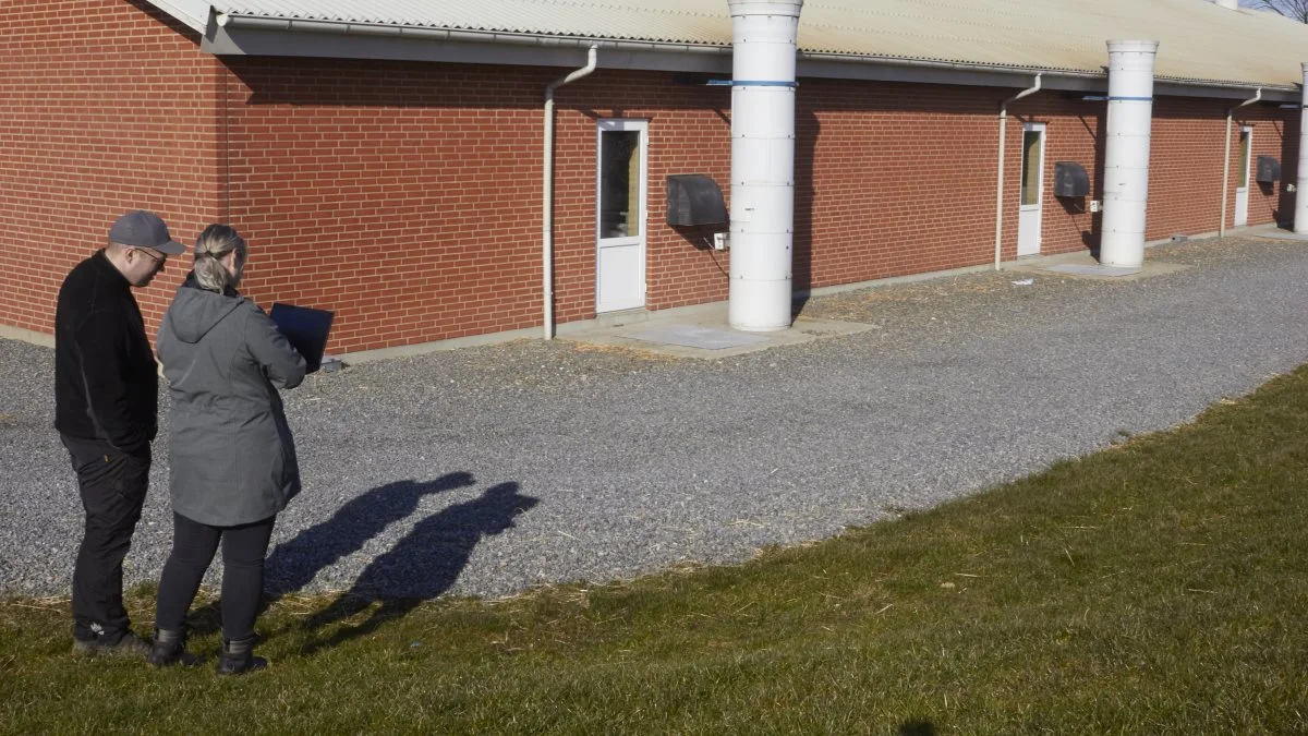 Et af de kommende projekter på Mariesminde er et nybyggeri med 700 stipladser til slagtegrise.