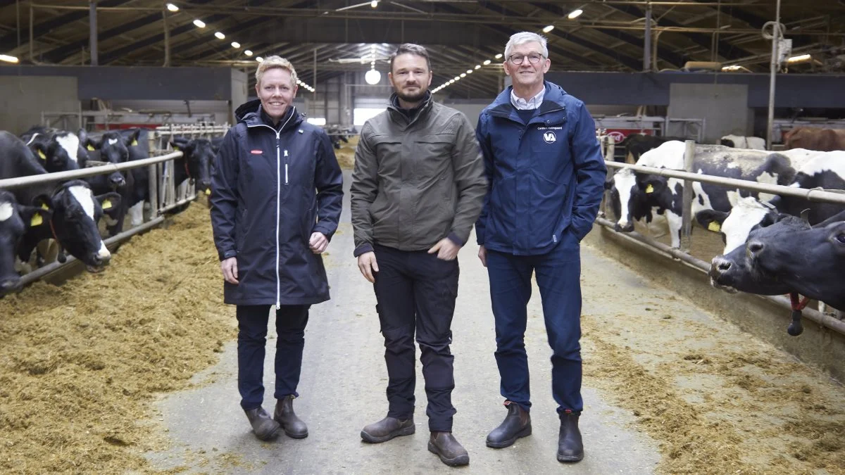 Der er et kæmpe potentiale i græsmarkerne, når man snakker om proteinforsyning. Mælkeproducent Jacob Stensig sikrer både proteinforsyningen og proteinkvaliteten ved at bruge ensileringsmiddel. Her ses han med Dianna Christensen fra Lallamans Nordic og Carsten Holmgaard (th.) fra Vestjyllands Andel.