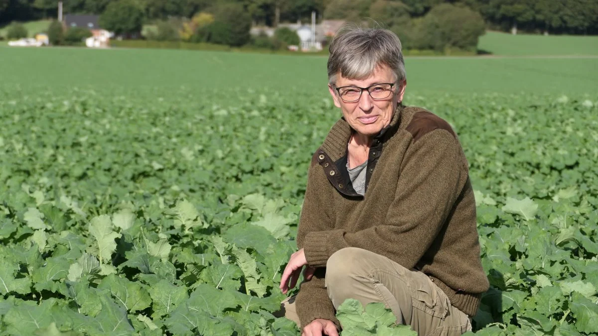 - Det er naturligvis fagligt selvmodsigende at kalde reguleringen målrettet på lerjord, hvor nytten netop er mindre, siger agronomen Bente Andersen, der hjælper Agerskovgruppen fagligt.