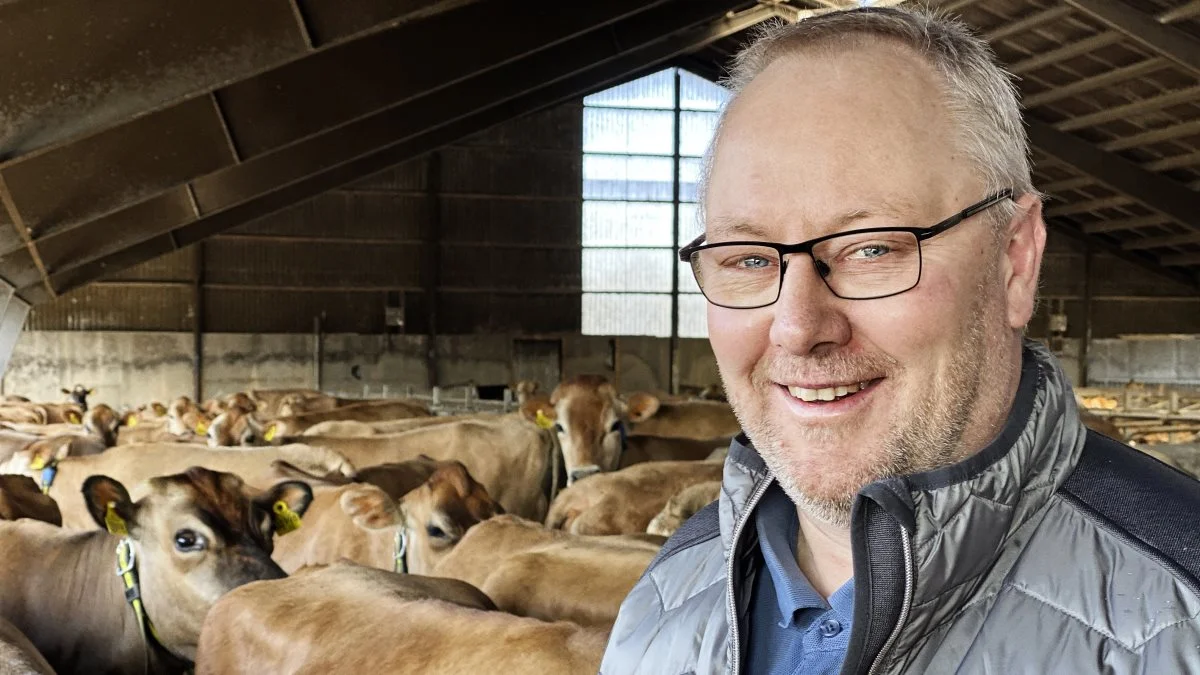 - Vi er ikke sat i verden for at lave en større egenkapital for VikingDanmark. Vi skal skabe værdi til vores medlemmer, slår bestyrelsesformand Anders Levring fast.